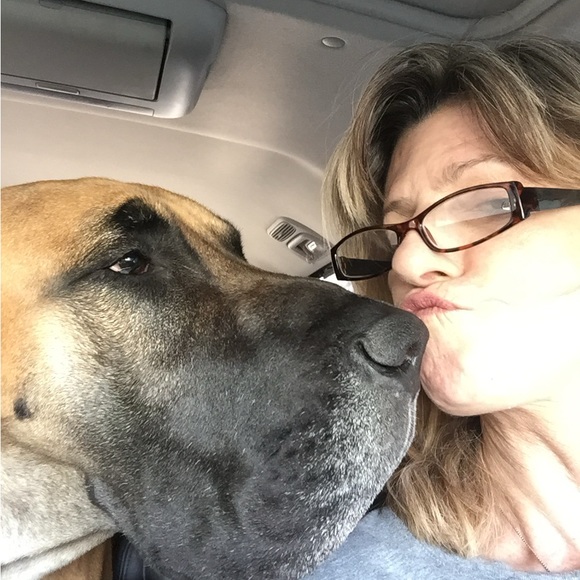 Meet your Posher, Jill - Picture 10 of 10